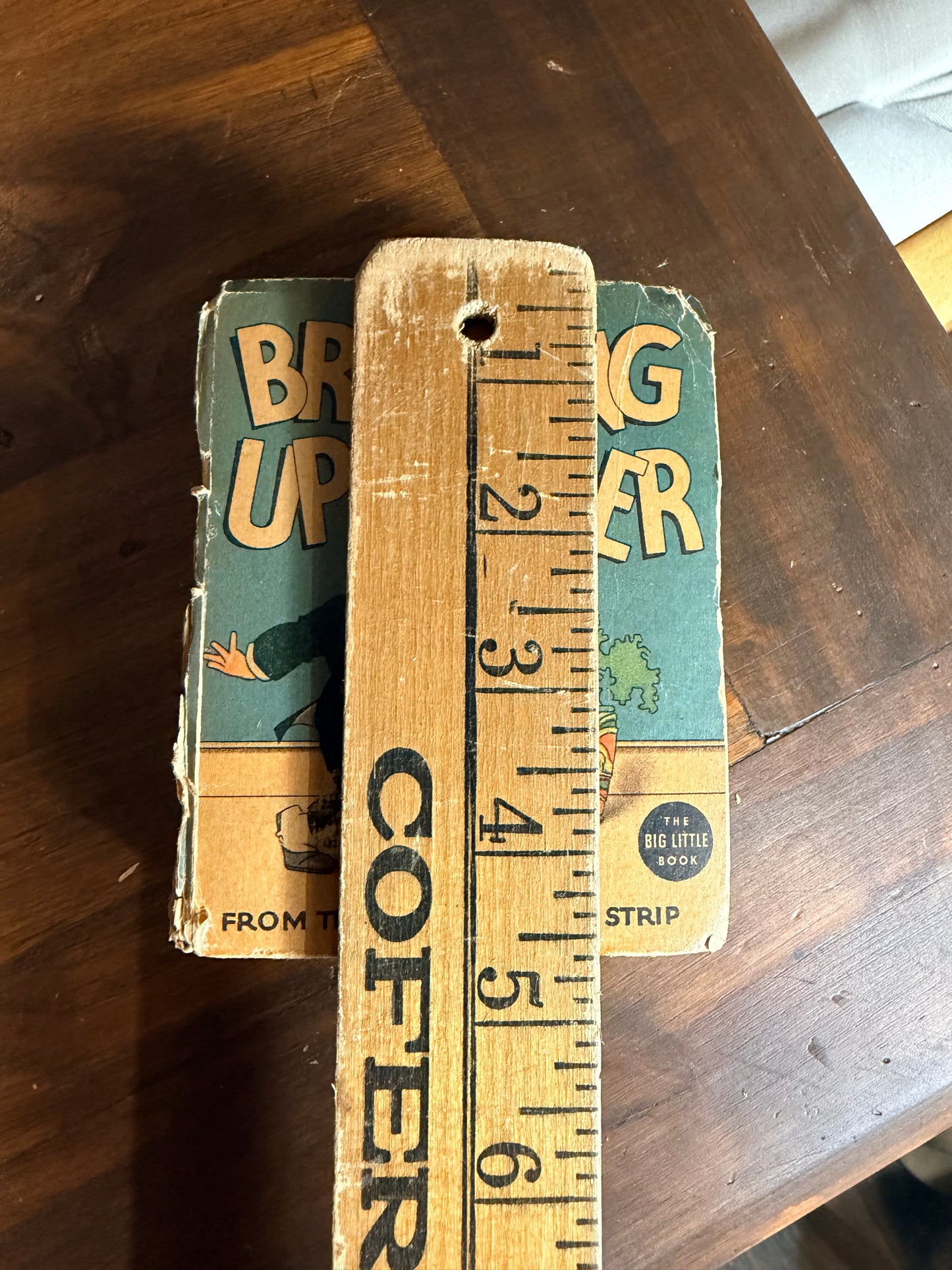 Little Big Book BRINGING UP FATHER - 1936 Whitman Book small hardback